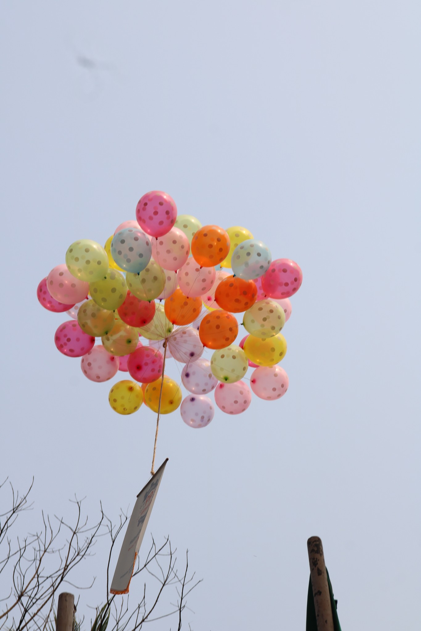Gate Banner-2